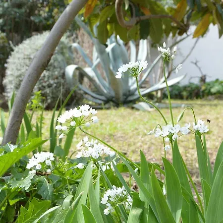 Maredda Apart-hotel 3*